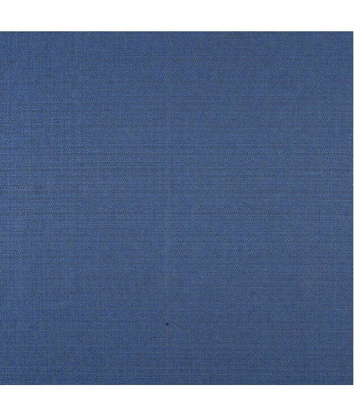 Bold Blue Fabric